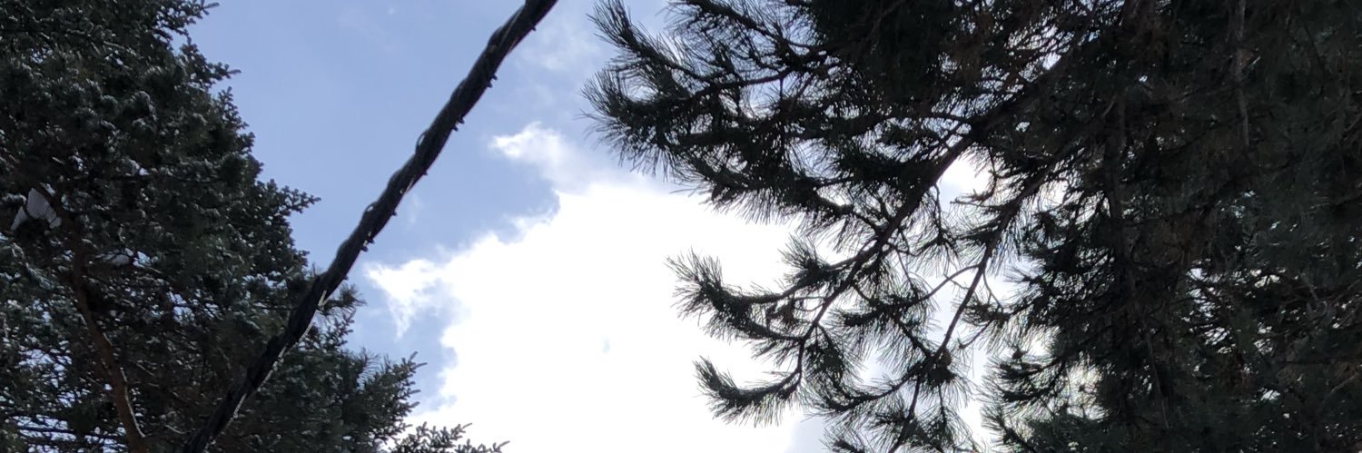 ⛩🐲平 藻十比呂🐉 banner