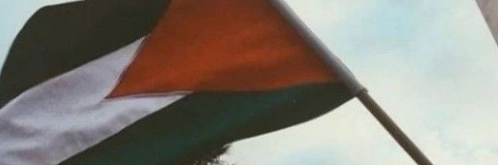 Eman Selim's banner