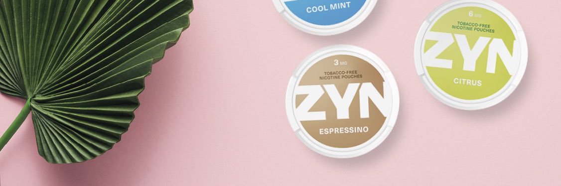 Anita Max Zyn banner