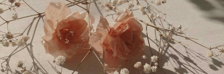 chenqin_n's profile banner image