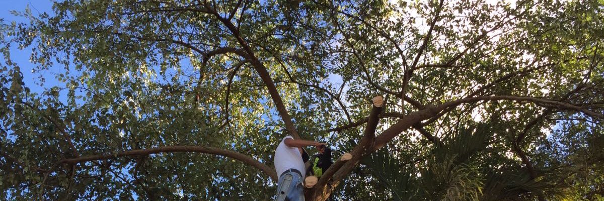 bNNgabby's profile banner image