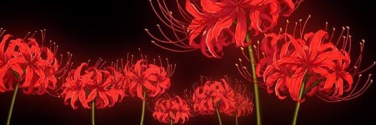 akemichewy's profile banner image