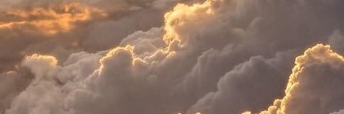 corcordiium's profile banner image
