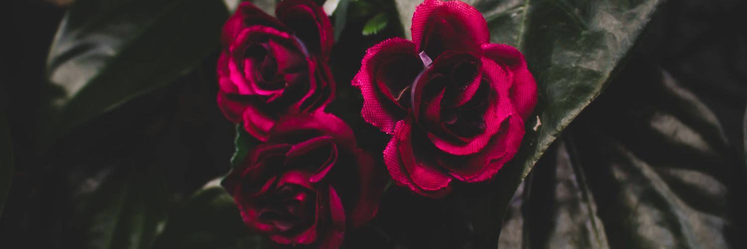 Radenkw7's profile banner image