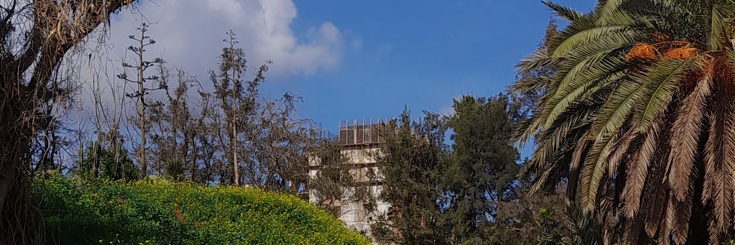 redamor31's profile banner image