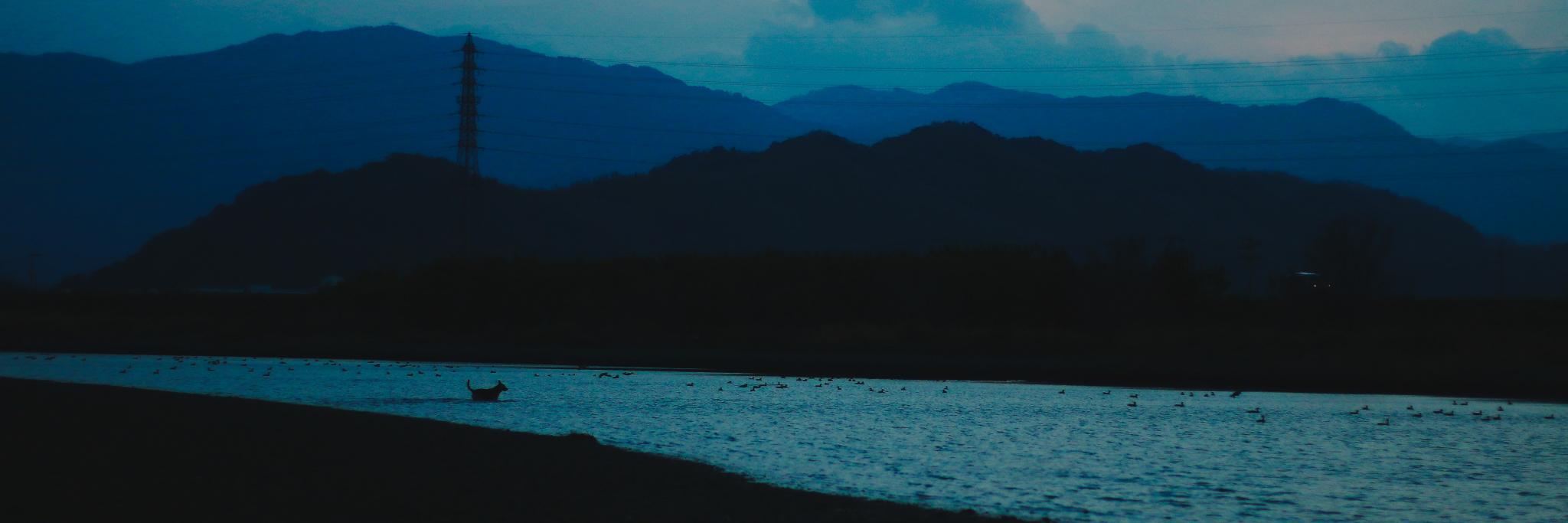 Nachobillyanna banner