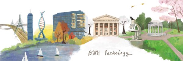 BWHPath Profile Banner