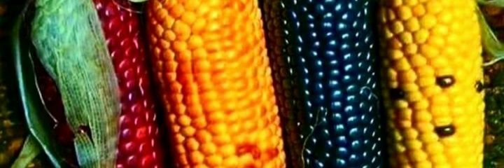 bel_bels's profile banner image
