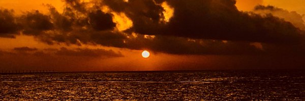 MaryferEG Profile Banner