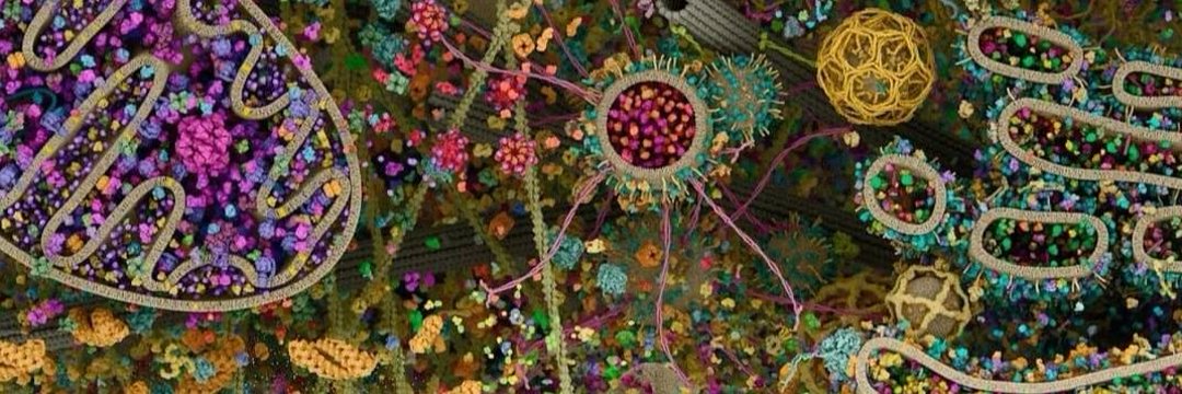 Griffith17431's profile banner image