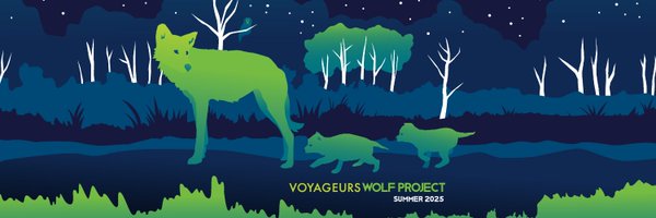 VoyaWolfProject Profile Banner