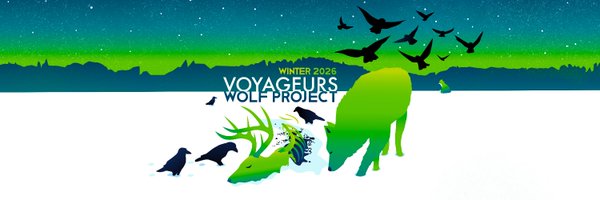 VoyaWolfProject Profile Banner