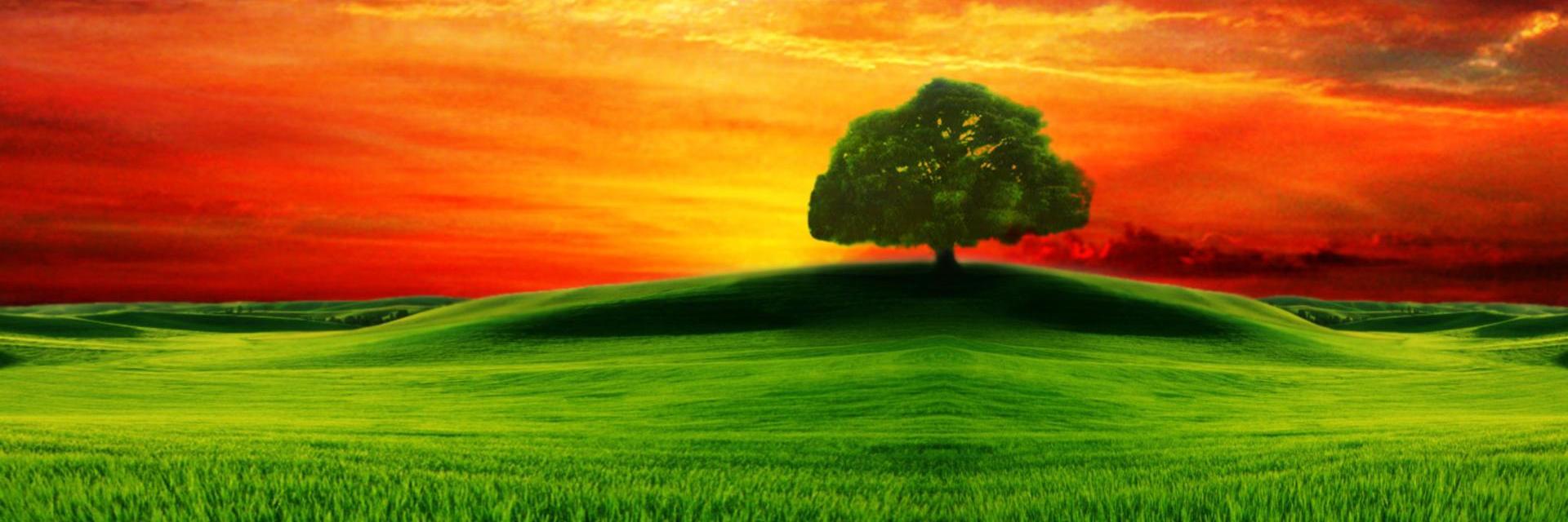 gticiho01's profile banner image