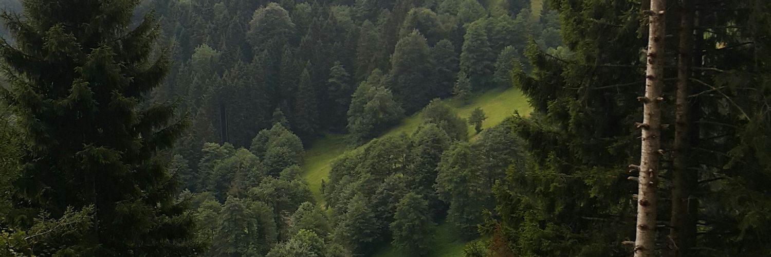 KabaSababiAdam's profile banner image