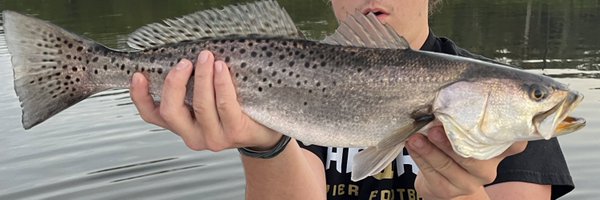 TimMill86499745 Profile Banner