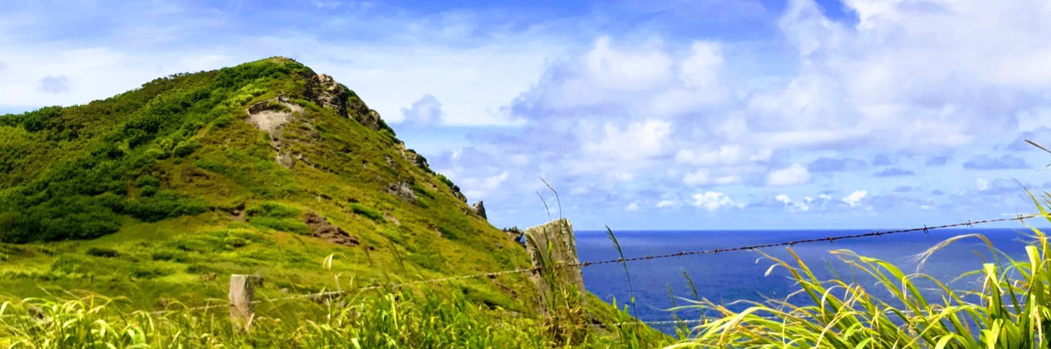 LaurenMColman's profile banner image