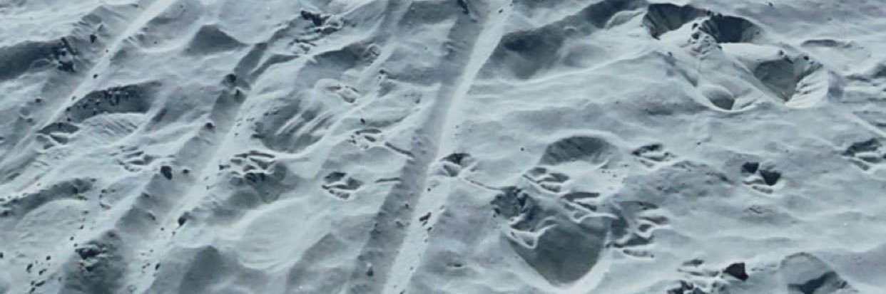 noahsams3's profile banner image
