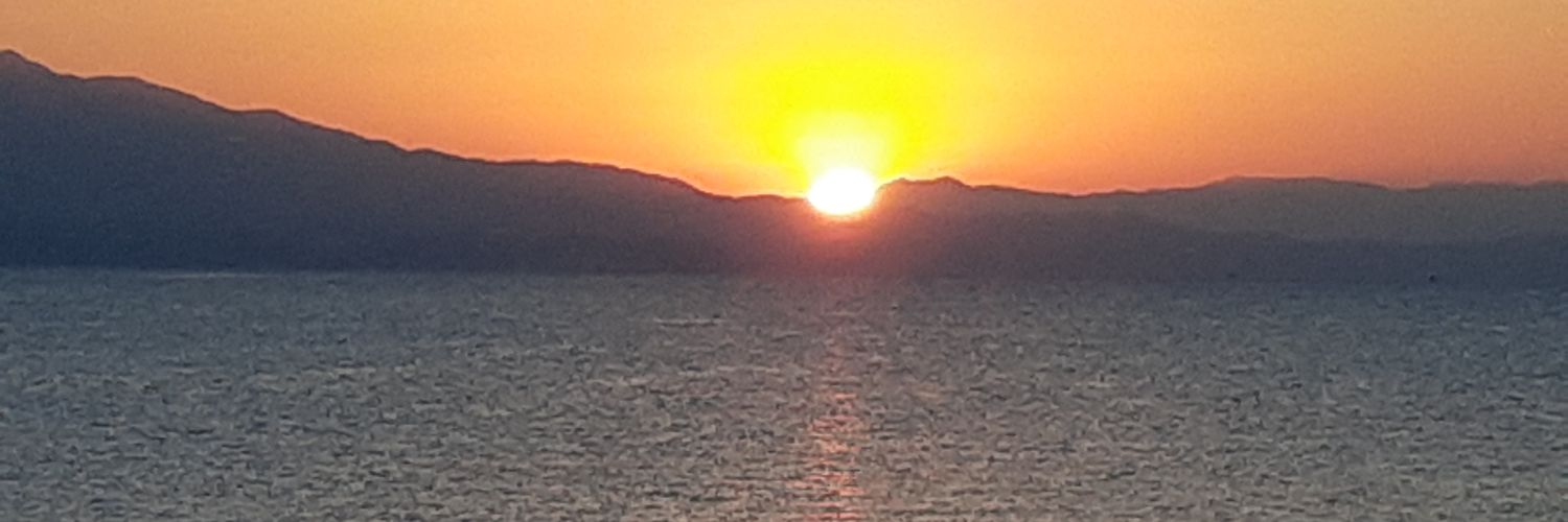 hanasiwon's profile banner image