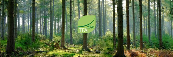 TFA_SEAsia Profile Banner