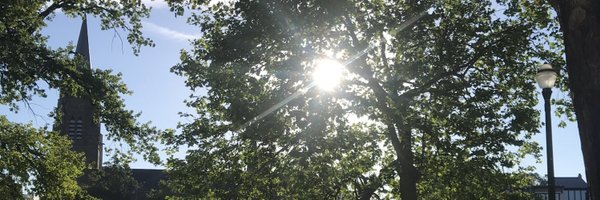 AlliLC2 Profile Banner