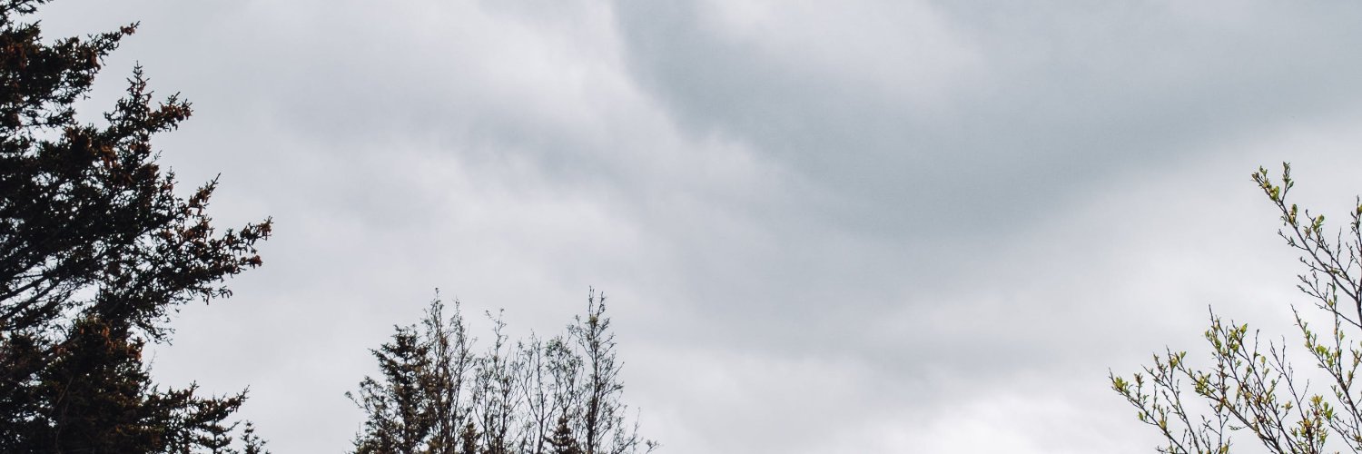 sheccolino's profile banner image