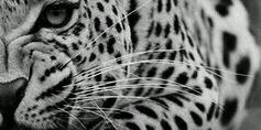 roxanne_barber's profile banner image