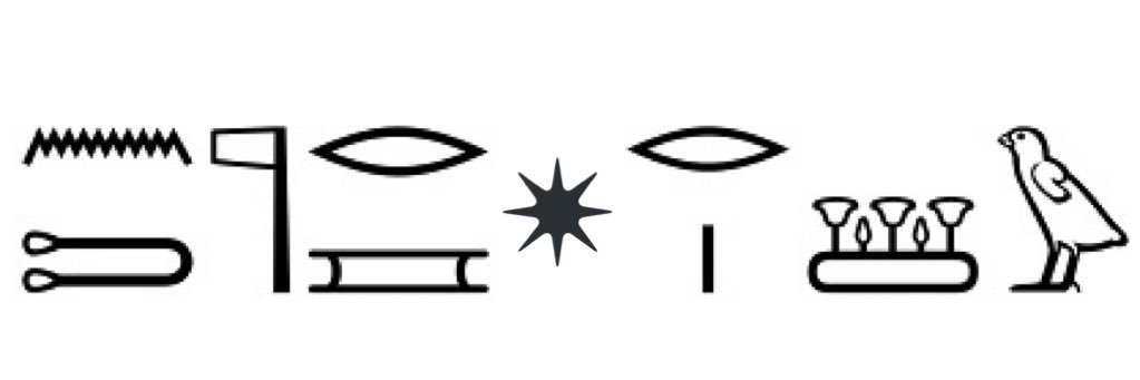 ntrirasau's profile banner image