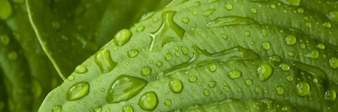 NaveenK329's profile banner image