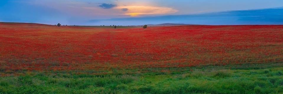 _muradbabayev's profile banner image
