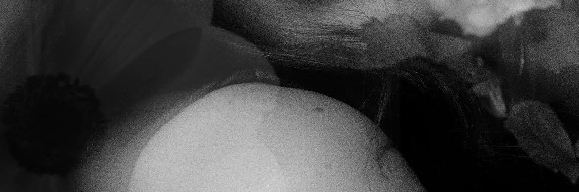Meera banner