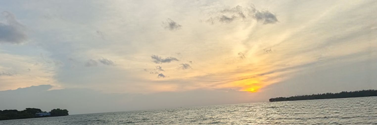rayens_ryan's profile banner image