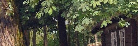 taejindecember's profile banner image