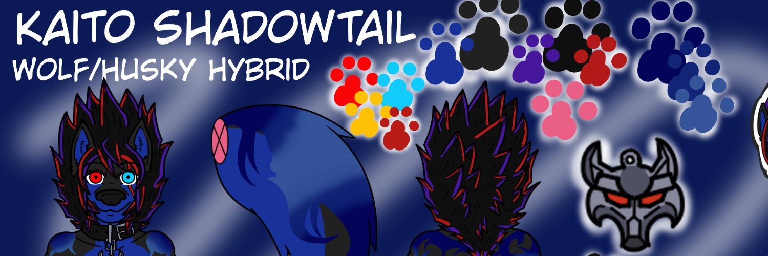 Kaito Shadowtail/Drago Thunderwing/ Pup Riven banner