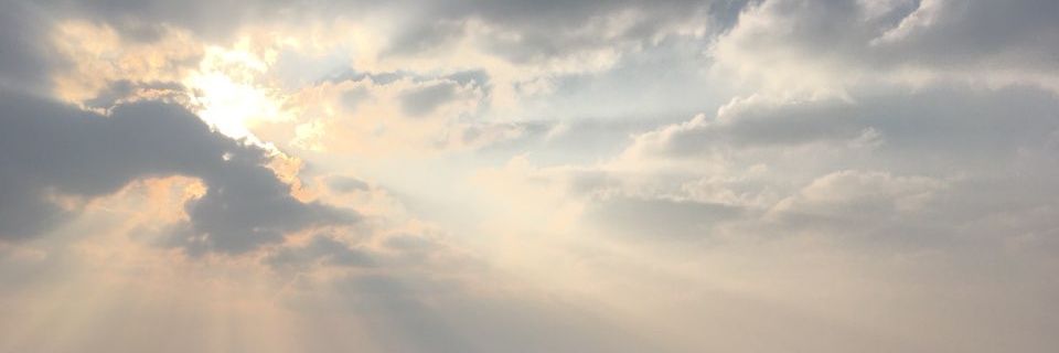 평안투𝕏's banner