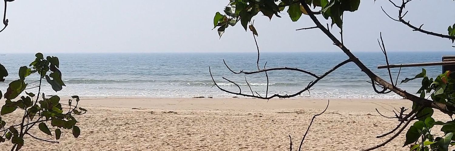 SwingEdgeTrader's profile banner image