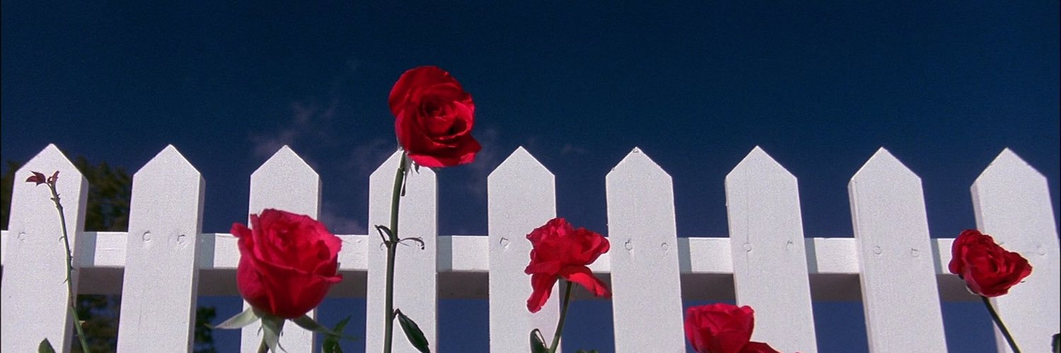 sam_htx's profile banner image