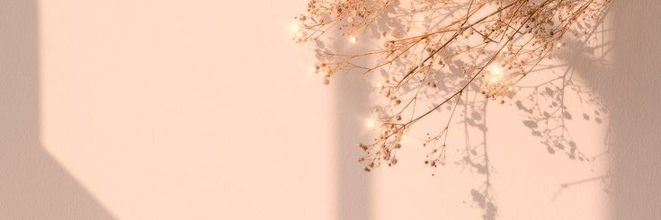 ло́тис banner