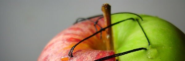Dastion banner