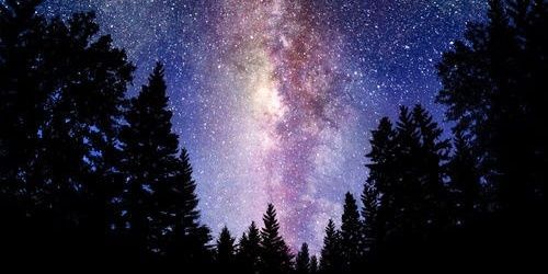 Kiki_KFS's profile banner image