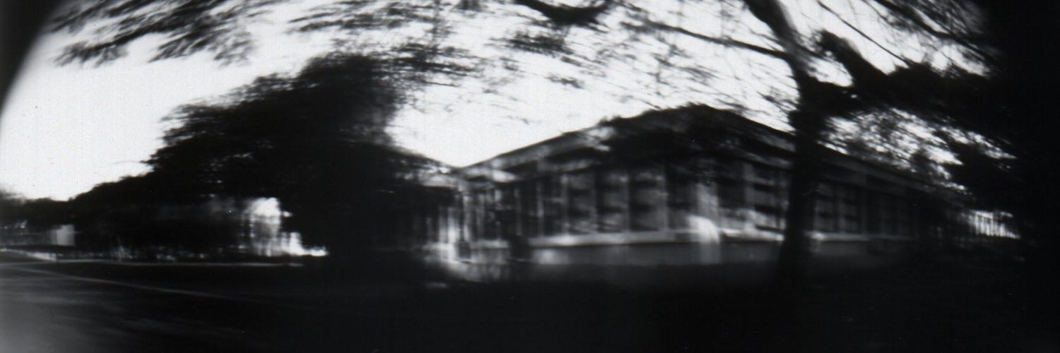 elisacool's profile banner image