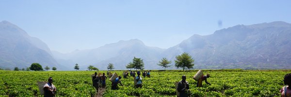 A4W_programme Profile Banner