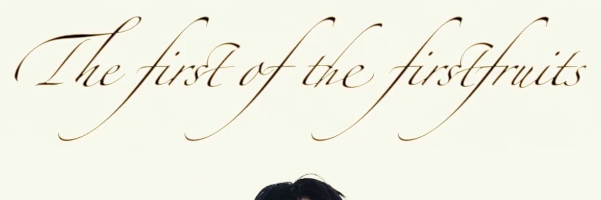 mormer banner