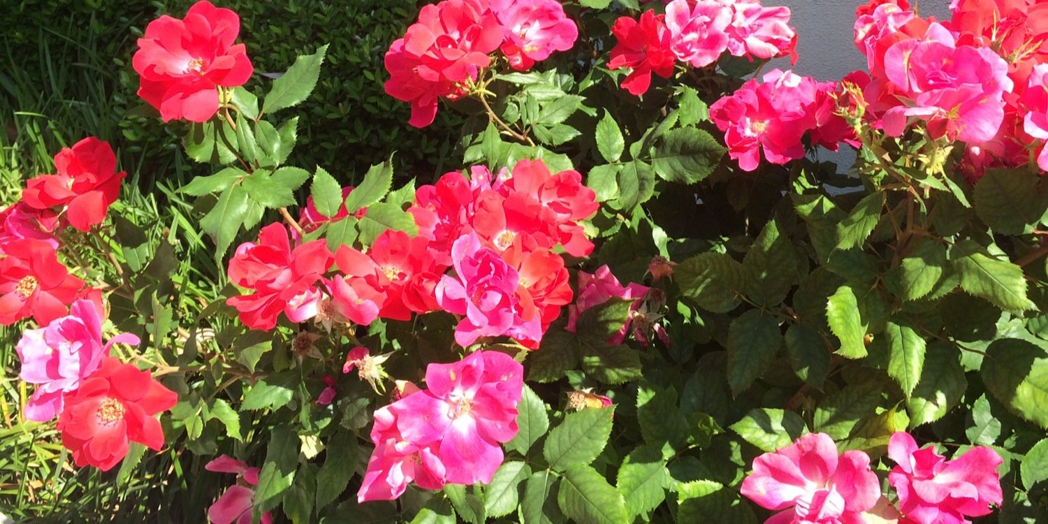 cypetty's profile banner image