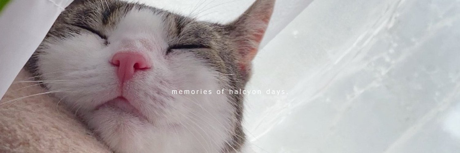 itsHalcyxn's profile banner image