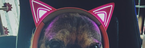 mcdizzle17 Profile Banner