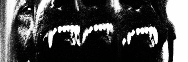 omnibael Profile Banner