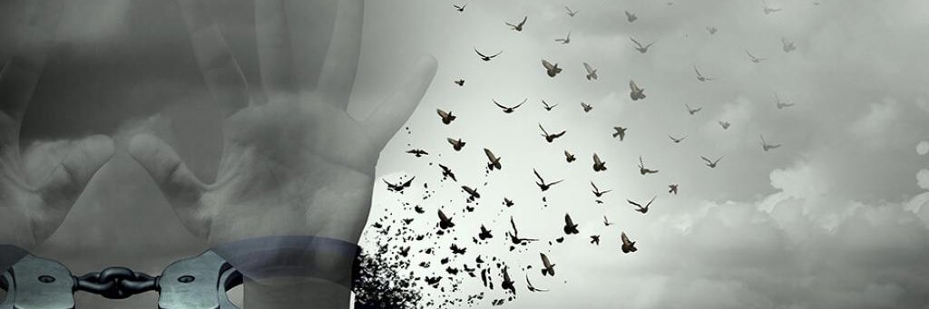 EmilyScott110's profile banner image