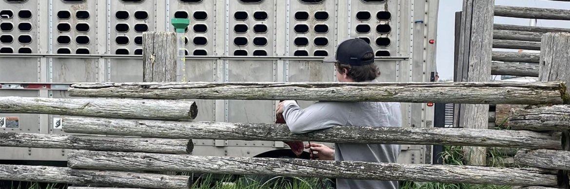 Shayne Dow 🇨🇦 banner