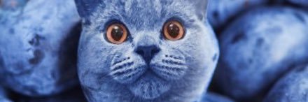 Andre_Rieu_Fan's profile banner image