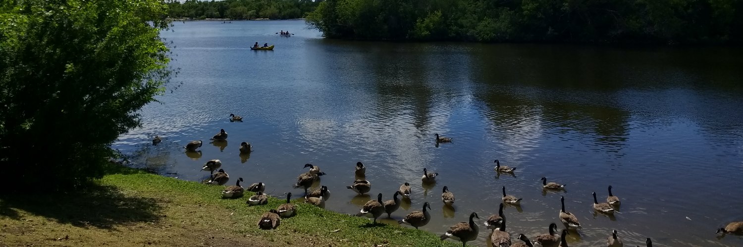 NMR at UofR (Widdifield Group) banner